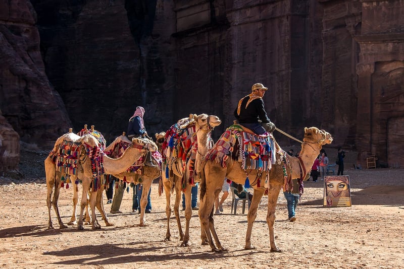 Cultural Explorations